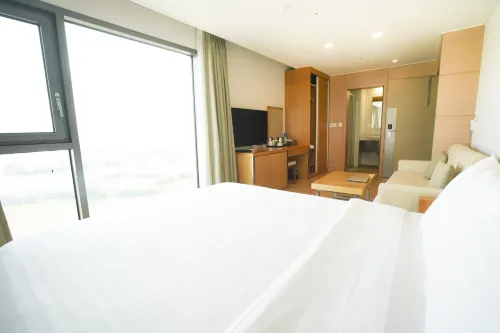 유니호텔 제주 객실 Photos
