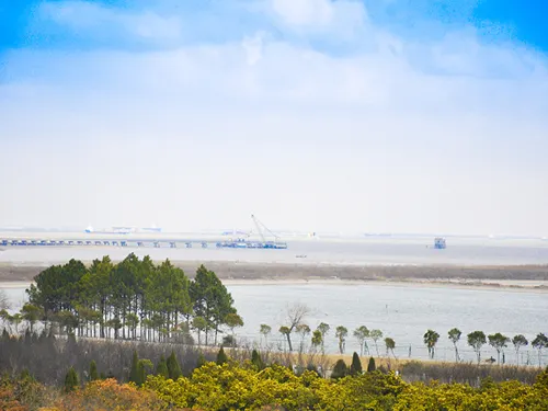 上海東方酒樓（浦東国際空港） Photos