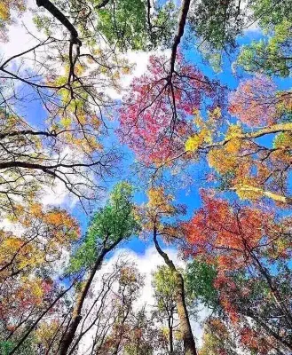 샹루이쥐 호스텔 호텔 주변 Photos