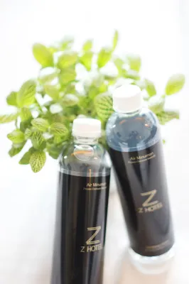Z Hotel Johor Bahru Kamar Photos