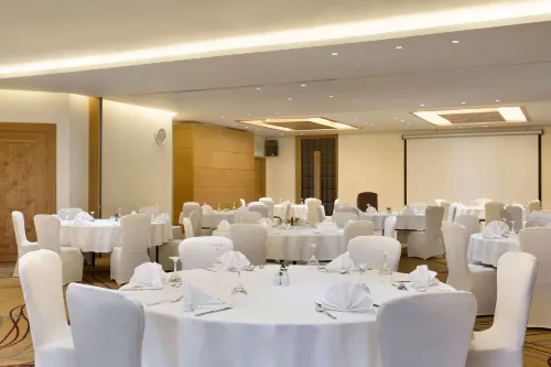 Ramada Resort Dead Sea Business Photos