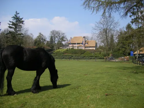 Fletcher Hotel Restaurant de Wipselberg-Veluwe Dekat Hotel Photos