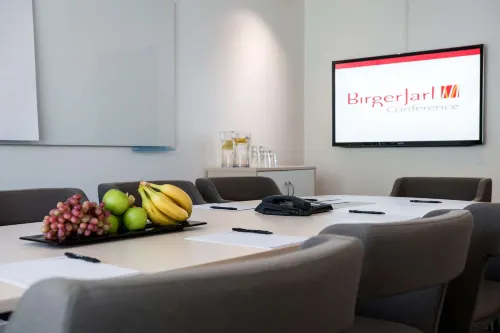 Hotel Birger Jarl Business Photos