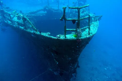 Liberty Dive Resort À proximité de l'hôtel Photos