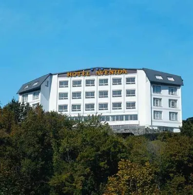 Hotel Avenida Exterior Photos