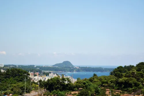 파크선샤인제주 추천 Photos