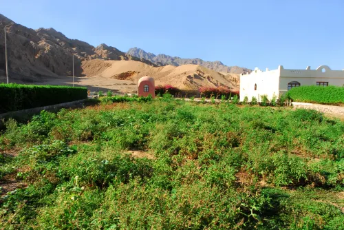 Tropitel Dahab Oasis In der Nähe des Hotels Photos