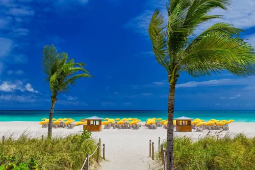 Royal Palm South Beach Miami, a Tribute Portfolio Resort Near Hotel Photos