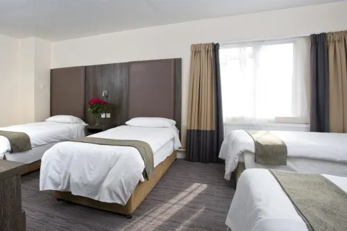 Hotel Lily Photos
