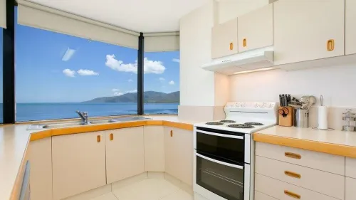 Cairns City Palms Photos