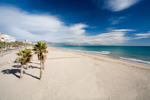 Hotel Castilla Alicante À ne pas manquer Photos