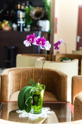 Nhat Minh Hotel and Apartment Espaces publics Photos
