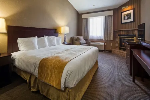 Best Western University Inn Photos