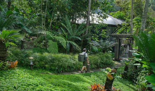 Capella Ubud, Bali Exterior Photos