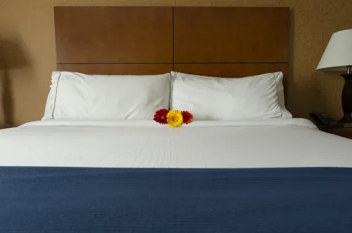 Sandman Hotel & Suites London Downtown Camere Photos