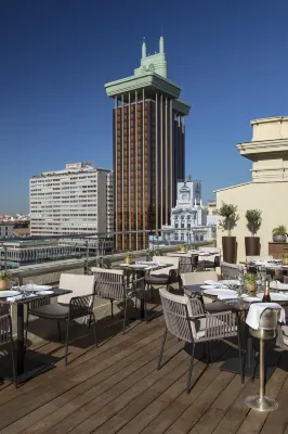 Hotel Fenix Gran Meliá - The Leading Hotels of the World Public Areas Photos