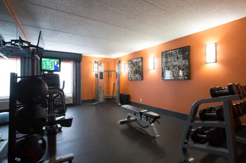 Holiday Inn Express & Suites Nashville Southeast - Antioch Loisirs et amusements Photos