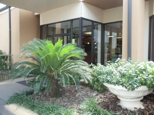 Quality Inn & Suites Pensacola Bayview Public Areas Photos