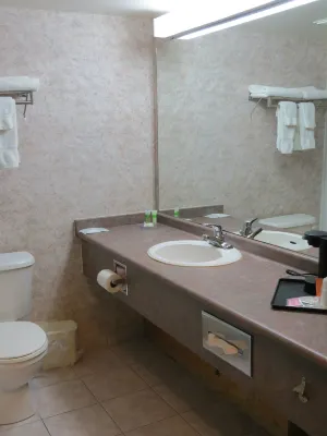 Lexington Inn & Suites-Windsor Photos