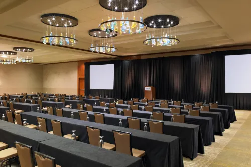 The Westin Bellevue Espaces Affaires Photos