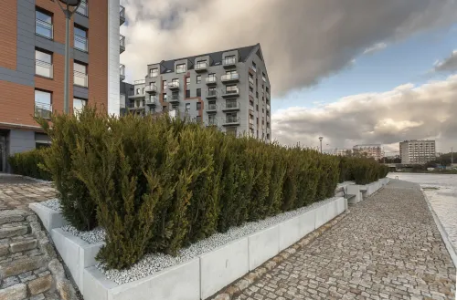 Grano Apartments Gdańsk Motława Spa & Wellness Рядом с отелем Photos