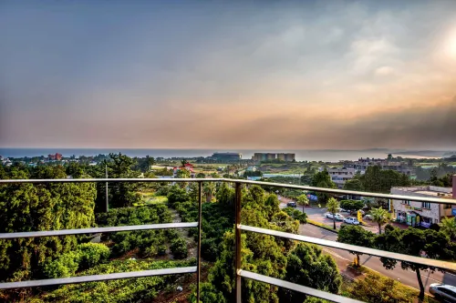 Sunrise Hotel Jungmun Branch À proximité de l'hôtel Photos