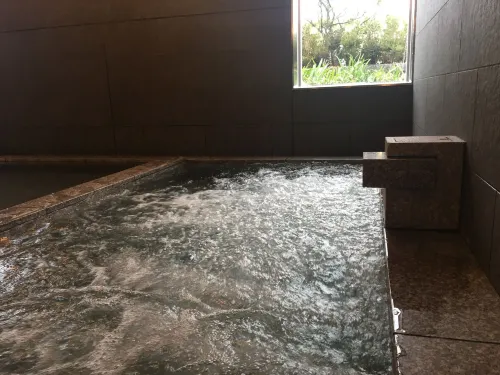 日本青年館飯店 休閒娛樂 Photos