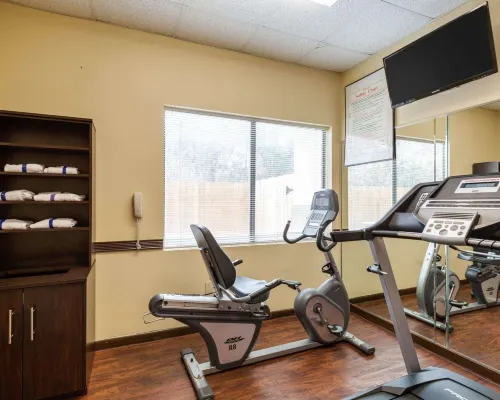 Comfort Suites Bush InterContinental Airport Loisirs et amusements Photos