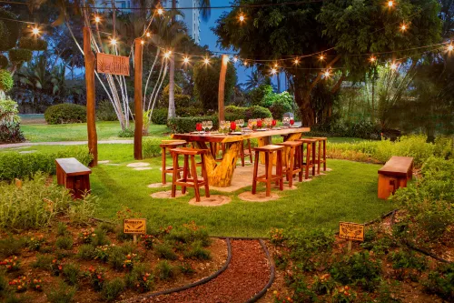 Marriott Puerto Vallarta Resort & Spa Featured Photos
