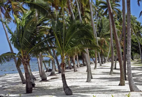 Tambua Sands Beach Resort Hotellin lähellä Photos