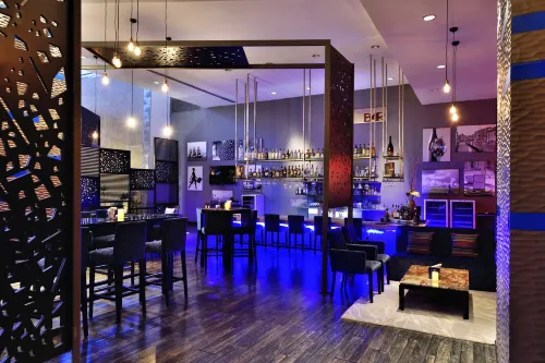 Radisson Blu Plaza Hotel Hyderabad Banjara Hills Leisure & Recreation Photos