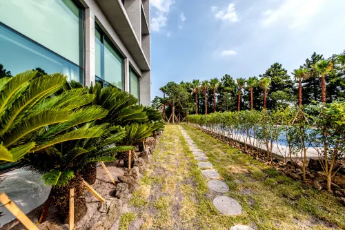 Sunrise Hotel Jungmun Branch À proximité de l'hôtel Photos