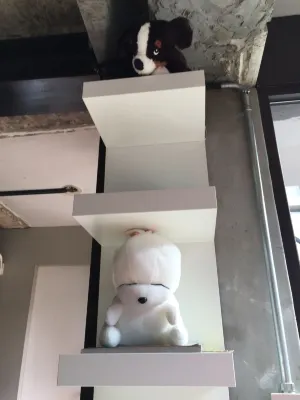 I House Chinchin Photos