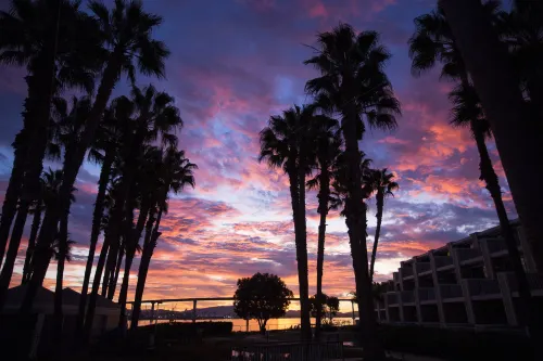 Coronado Island Marriott Resort & Spa À proximité de l'hôtel Photos