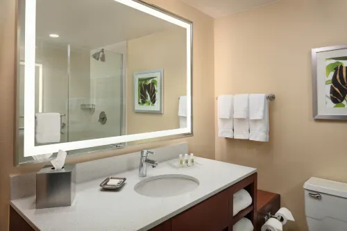 Holiday Inn Austin -Town Lake Camere Photos