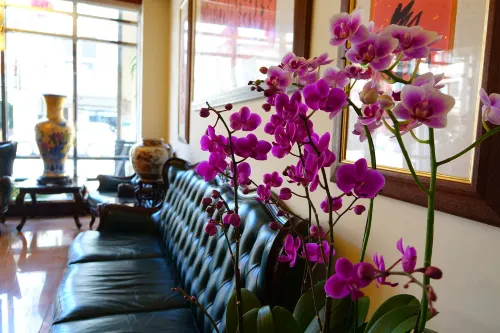 宜蘭羅東東方商務大飯店 公共區域 Photos