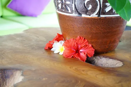 Villa Sonia Ubud Photos
