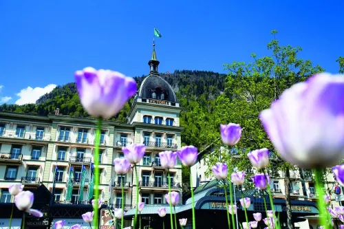 Victoria Jungfrau Grand Hotel and Spa Interlaken Extérieur Photos