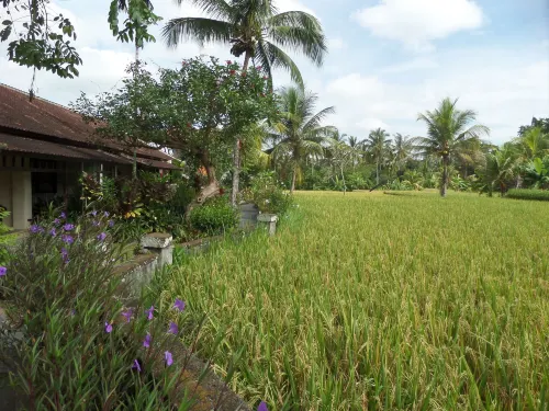 Anini Raka Resort & Spa Eksterior Photos