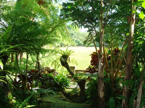 Anini Raka Resort & Spa Eksterior Photos
