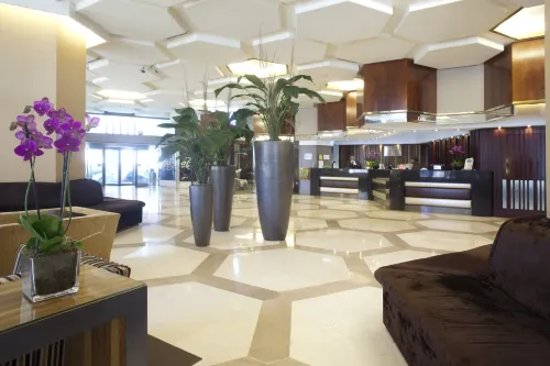 Hotel Princesa Plaza Madrid Public Areas Photos