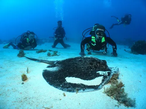La Pirogue Mauritius Photos