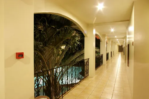 Citystate Asturias Hotel Palawan Public Areas Photos