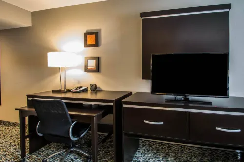 Comfort Suites Fort Lauderdale Airport South & Cruise Port Rooms Photos