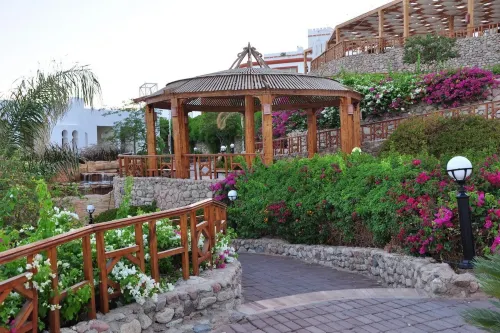Sunrise Diamond Beach Resort -Grand Select Da non perdere Photos