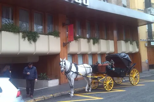 Hotel Don Paco Circondario Photos