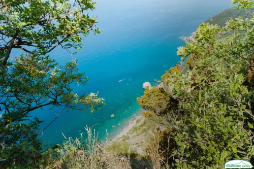 Hotel Vis à Vis Рядом с отелем Photos