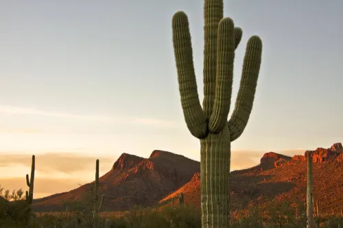 Tucson Marriott University Park Near Hotel Photos
