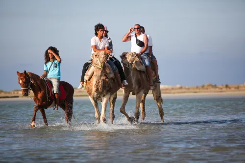 El Mouradi Djerba Menzel In der Nähe des Hotels Photos