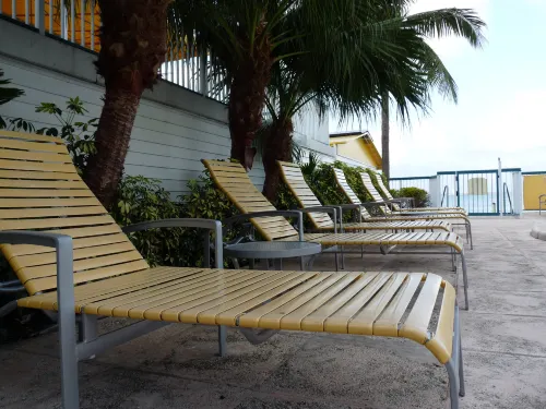 Palm Tree Club Miami Hotel Public Areas Photos